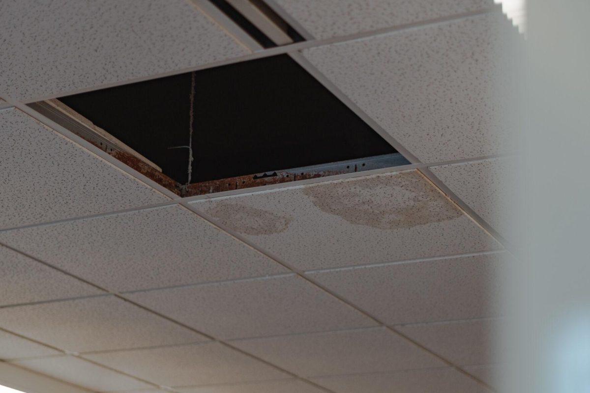 Water marks show on the ceiling on Tuesday, Jan. 18, 2022, caused by leaks in the roof within the LSU Library in Baton Rouge, La.