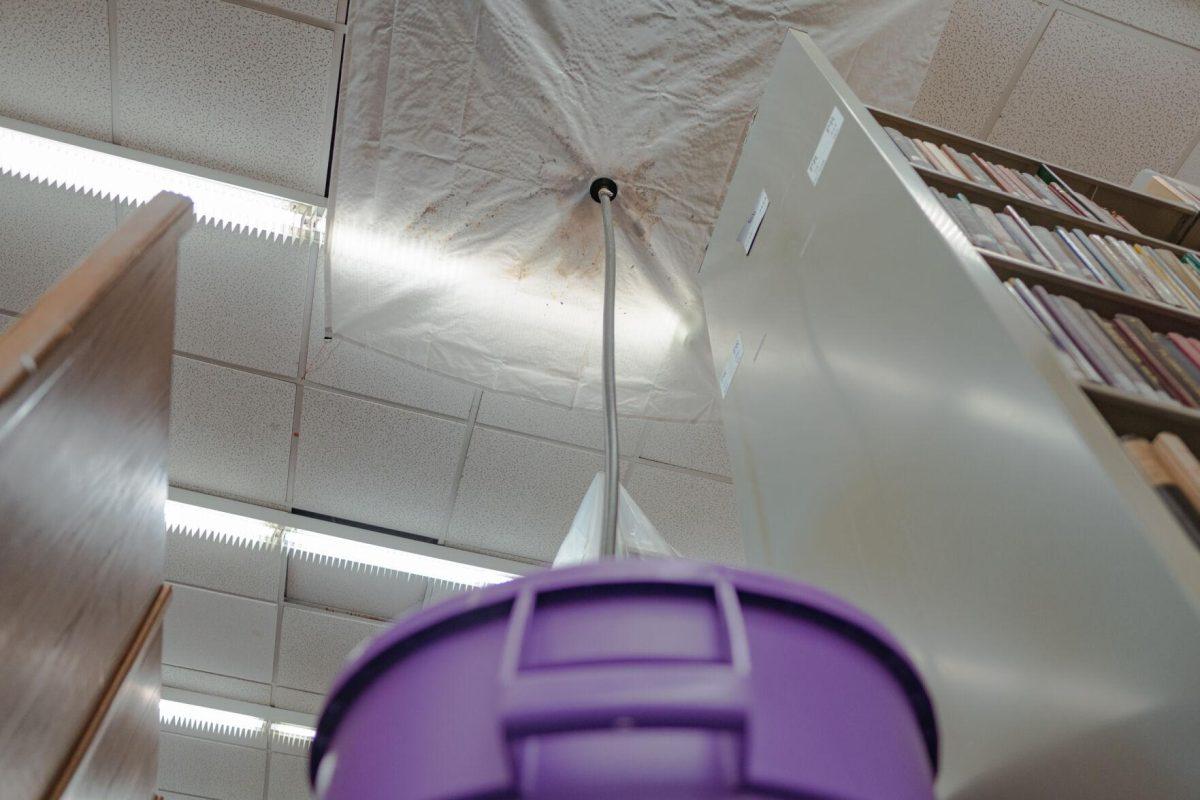 A tube leads into a garbage can on Tuesday, Jan. 18, 2022, to collect any water leaking from the roof of the LSU Library in Baton Rouge, La.