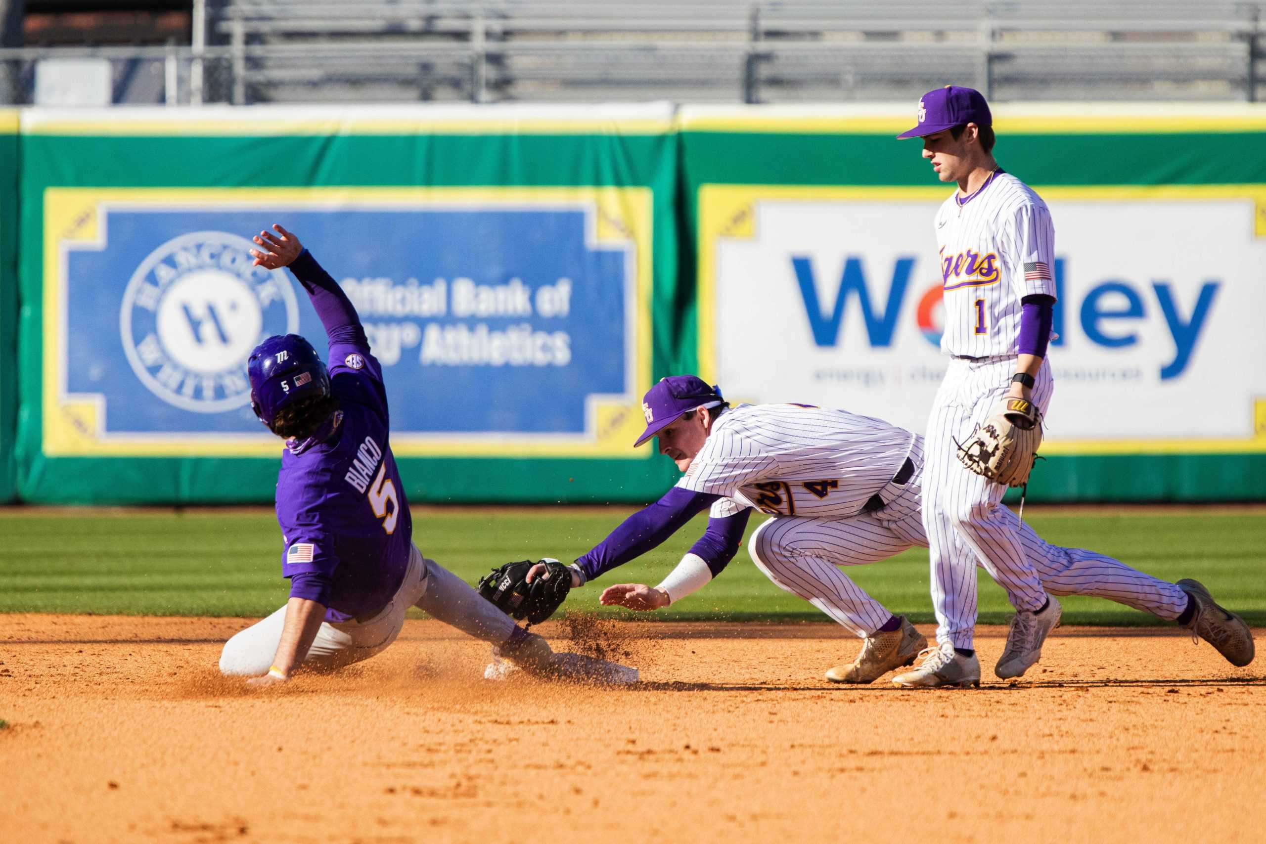 PHOTOS: A sneak peek at LSU Baseball before the start of season