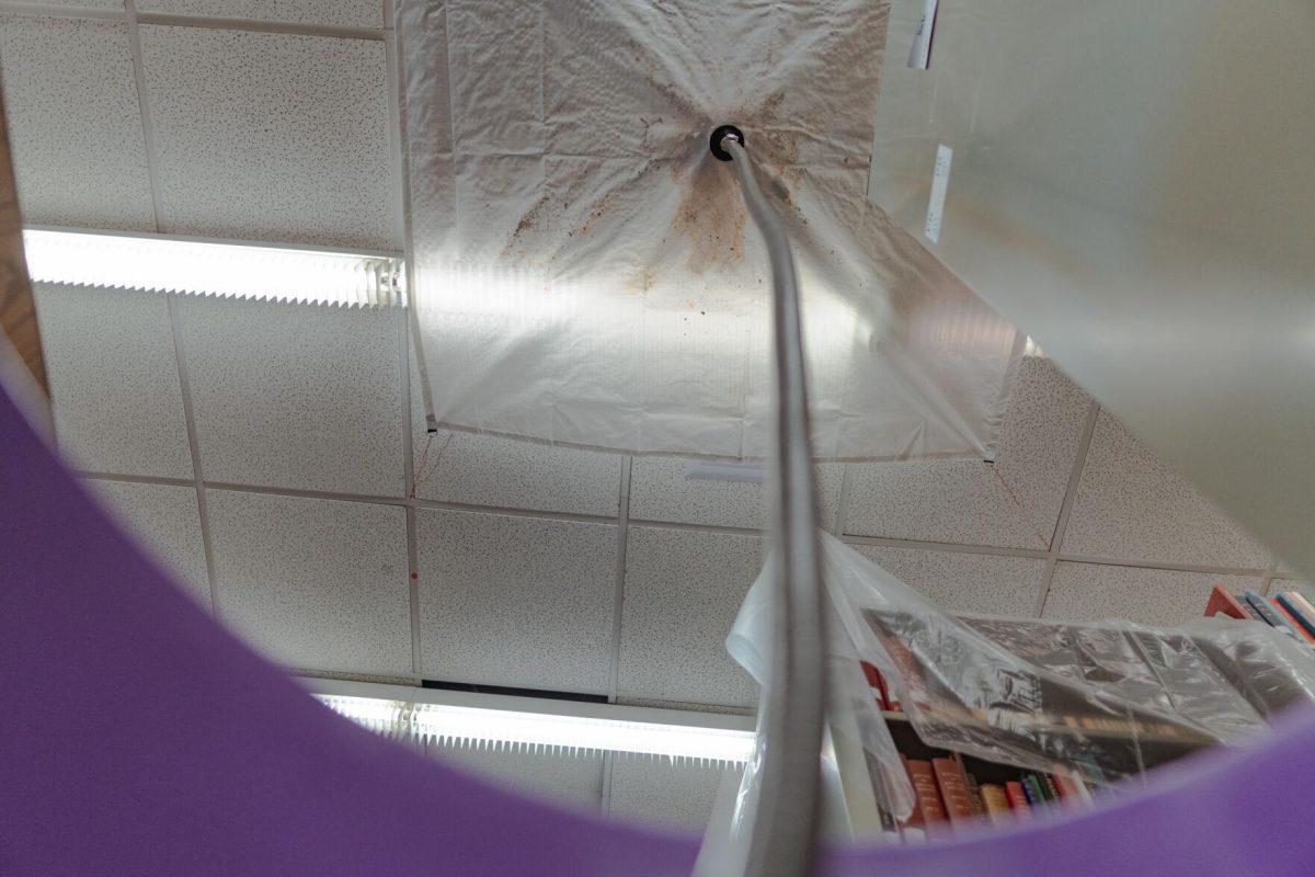 A tube leads into a garbage can on Tuesday, Jan. 18, 2022, to collect any water leaking from the roof of the LSU Library in Baton Rouge, La.