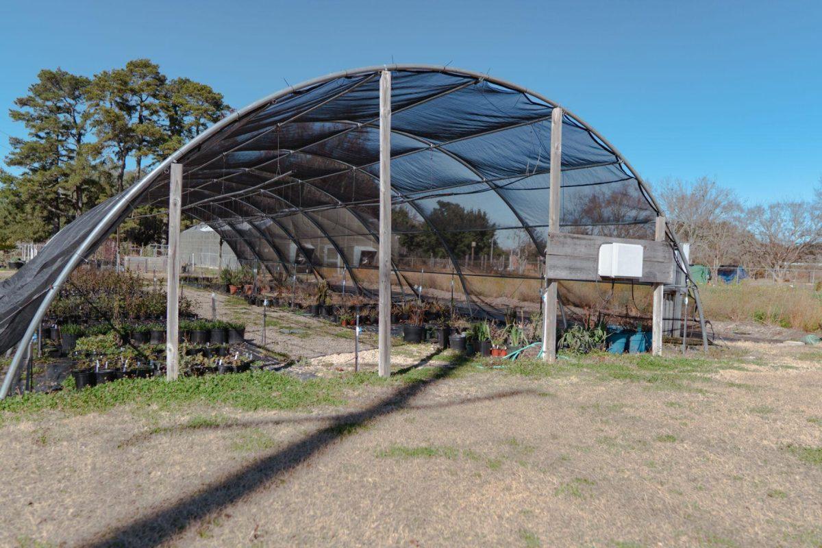 A net enclosure covers several rows of plants on Saturday, Feb. 5, 2022, at the LSU Hill Farm Gardens on South Campus Drive in Baton Rouge, La.