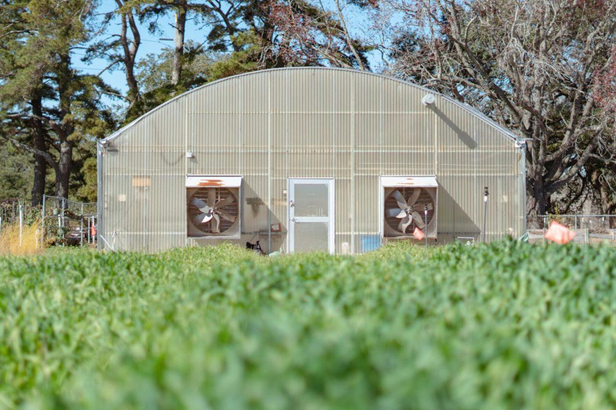 The door to the green house sits closed on Saturday, Feb. 5, 2022, at the LSU Hill Farm Gardens on South Campus Drive in Baton Rouge, La.