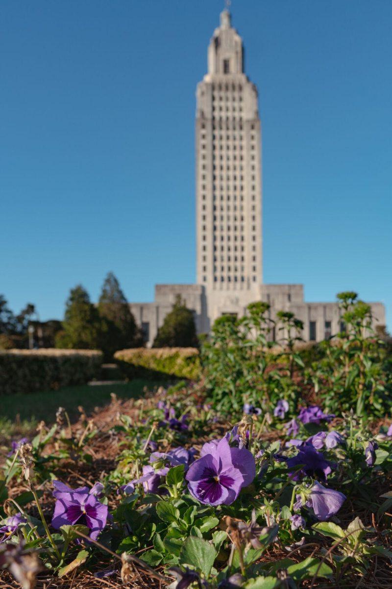 The Sun shines on the plants and flowers on Sunday, Feb. 6, 2022, in front of the State Capitol at 900 North Third Street in Baton Rouge, La.