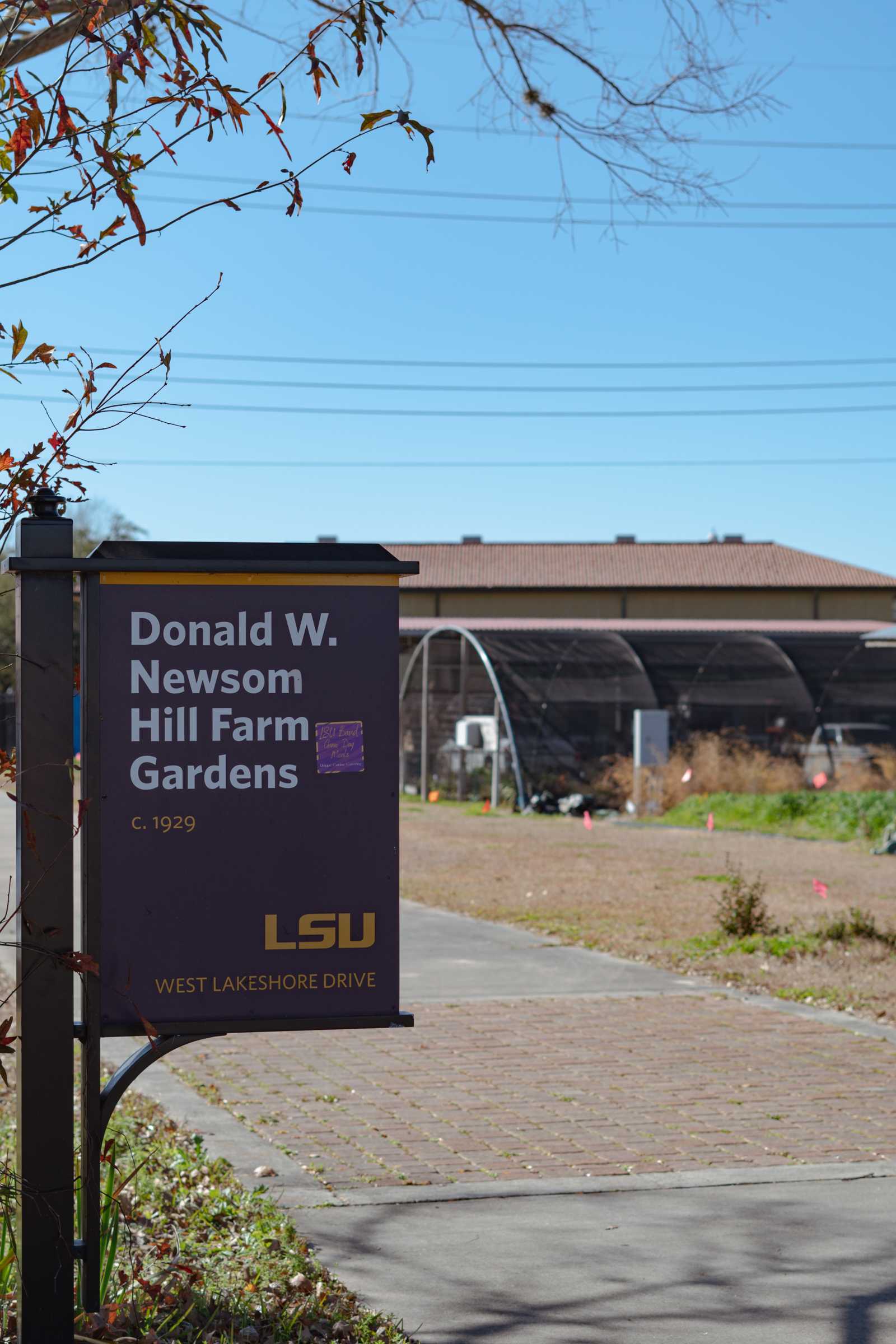 More green, less gray: Campus Sustainability looking for eco-friendly student initiatives