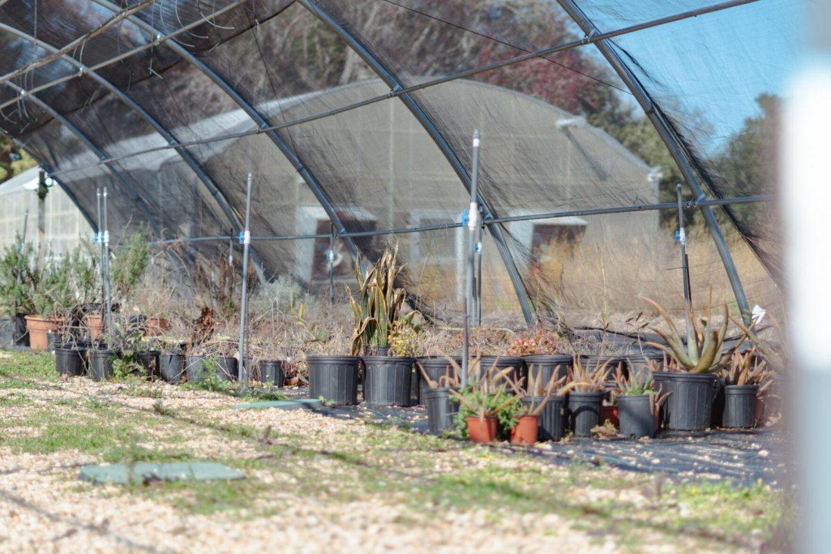 Various types of plants sit under netting on Saturday, Feb. 5, 2022, at the LSU Hill Farm Gardens on South Campus Drive in Baton Rouge, La.