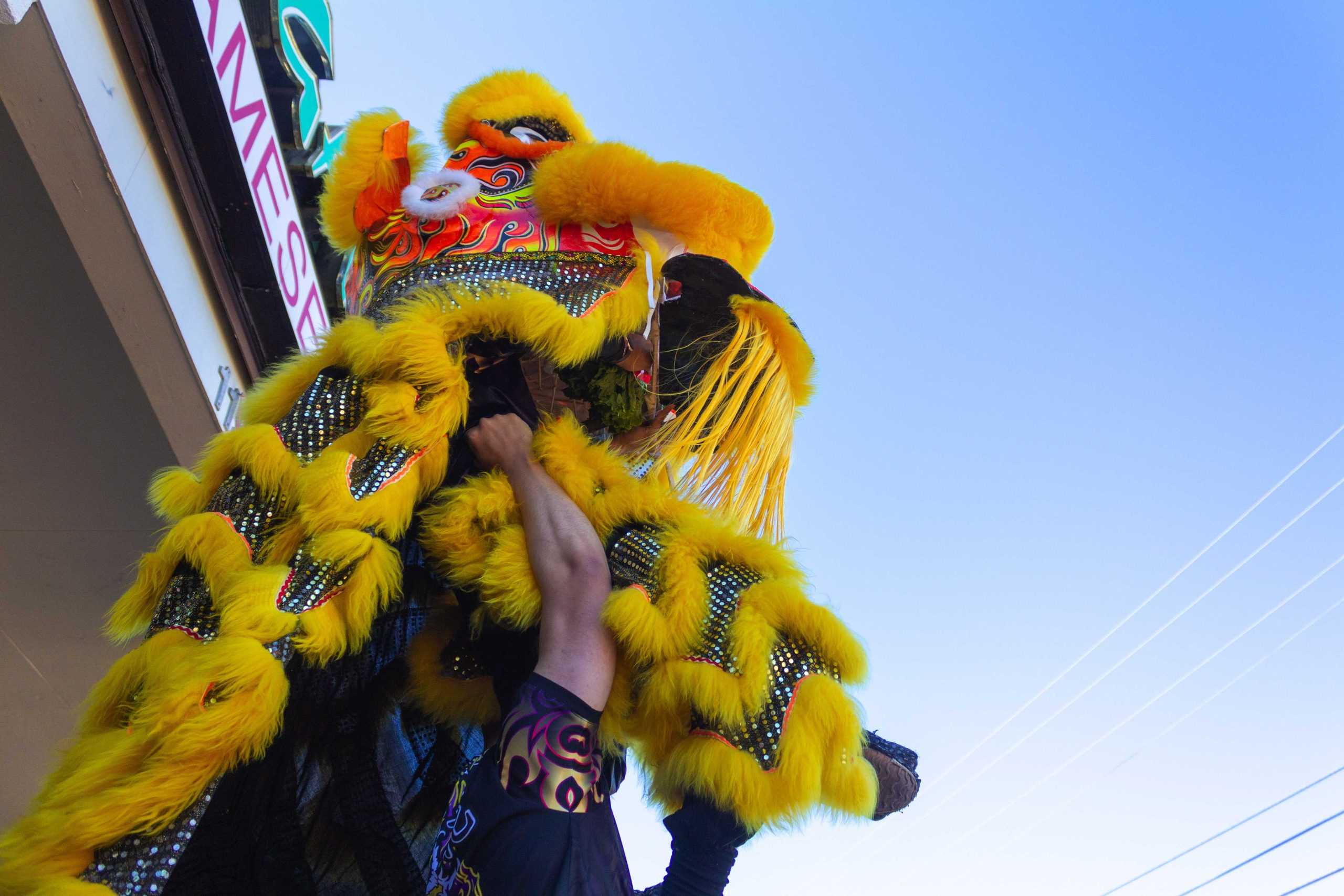 PHOTOS: Lunar New Year Celebration