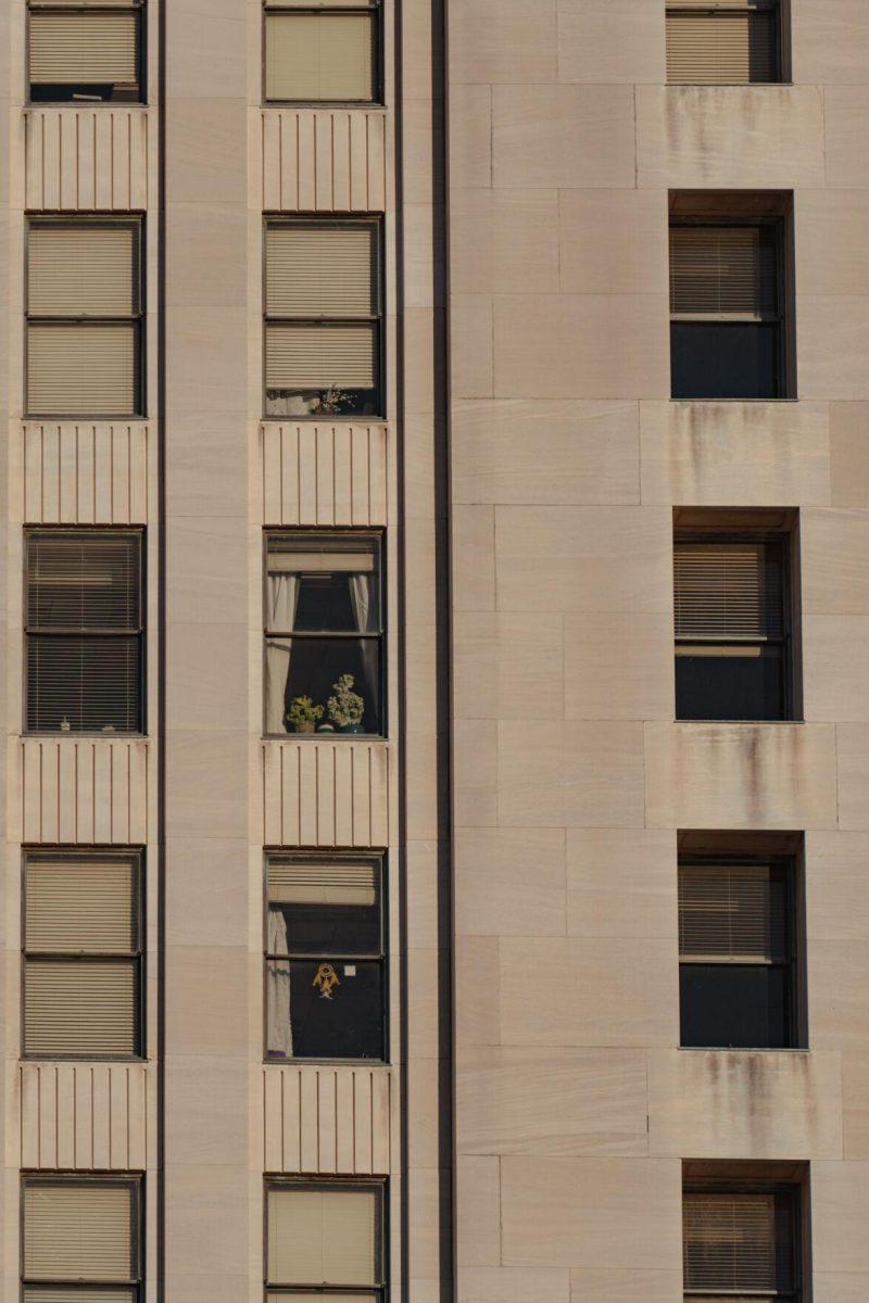 Plants sit in a window on Sunday, Feb. 6, 2022, inside an office in the State Capitol at 900 North Third Street in Baton Rouge, La.