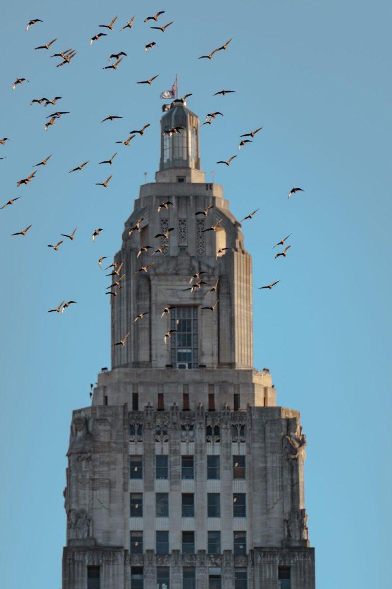 A flock of birds fly on Sunday, Feb. 6, 2022, in front of the State Capitol at 900 North Third Street in Baton Rouge, La.