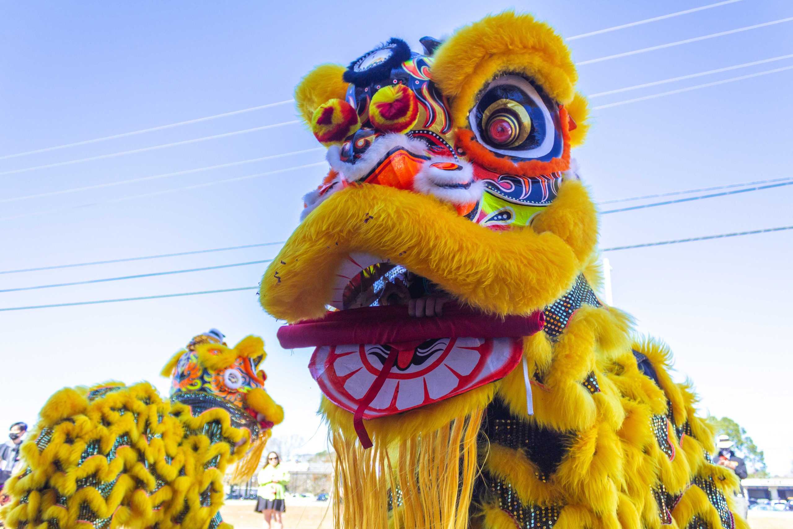 PHOTOS: Lunar New Year Celebration