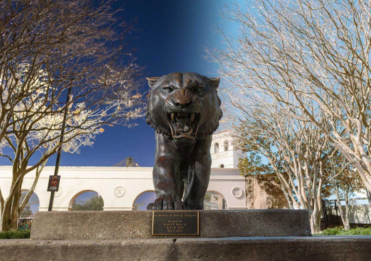 A statue of Mike the Tiger sits in the middle of the night of Wednesday, Jan. 26, 2022, and the daytime light of Thursday, Jan. 27, 2022, on North Stadium Drive in Baton Rouge, La.