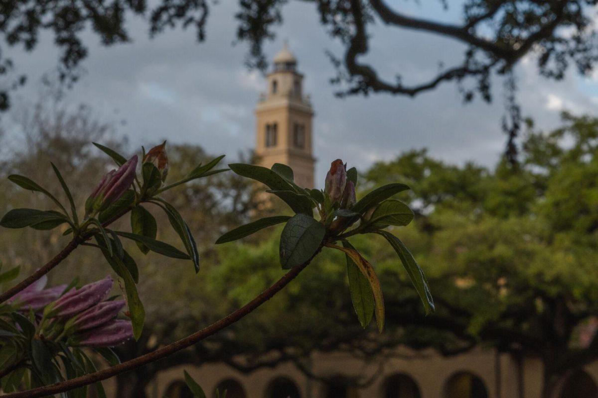 Flowers bloom on Tuesday, March 22, 2022, in the LSU Quad in Baton Rouge, La.