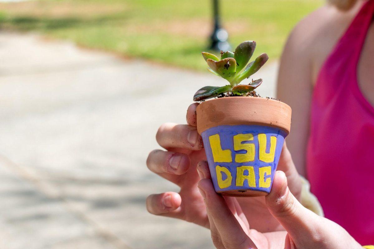 A student holds a succulent in a clay pot decorated with the LSU Disability Advocacy Council's logo.