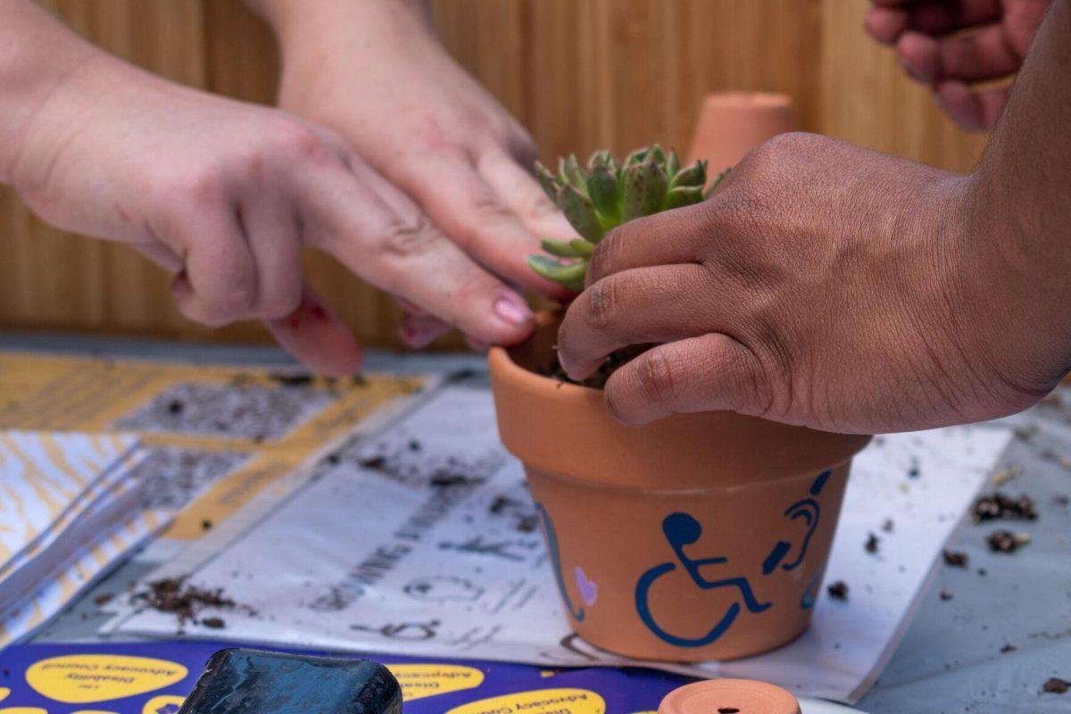 Students place a succulent into a clay pot decorated with the international symbol of access.