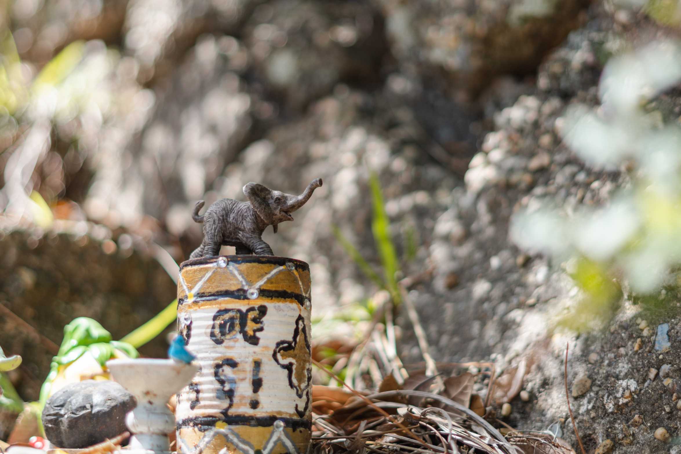 PHOTOS: The Happenings of the LSU Fairy Garden