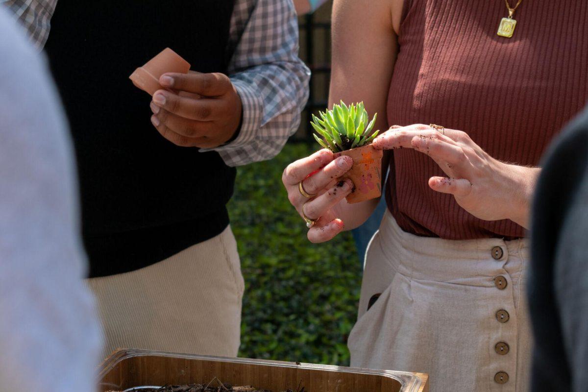 A student places a succulent into a decorated clay pot.