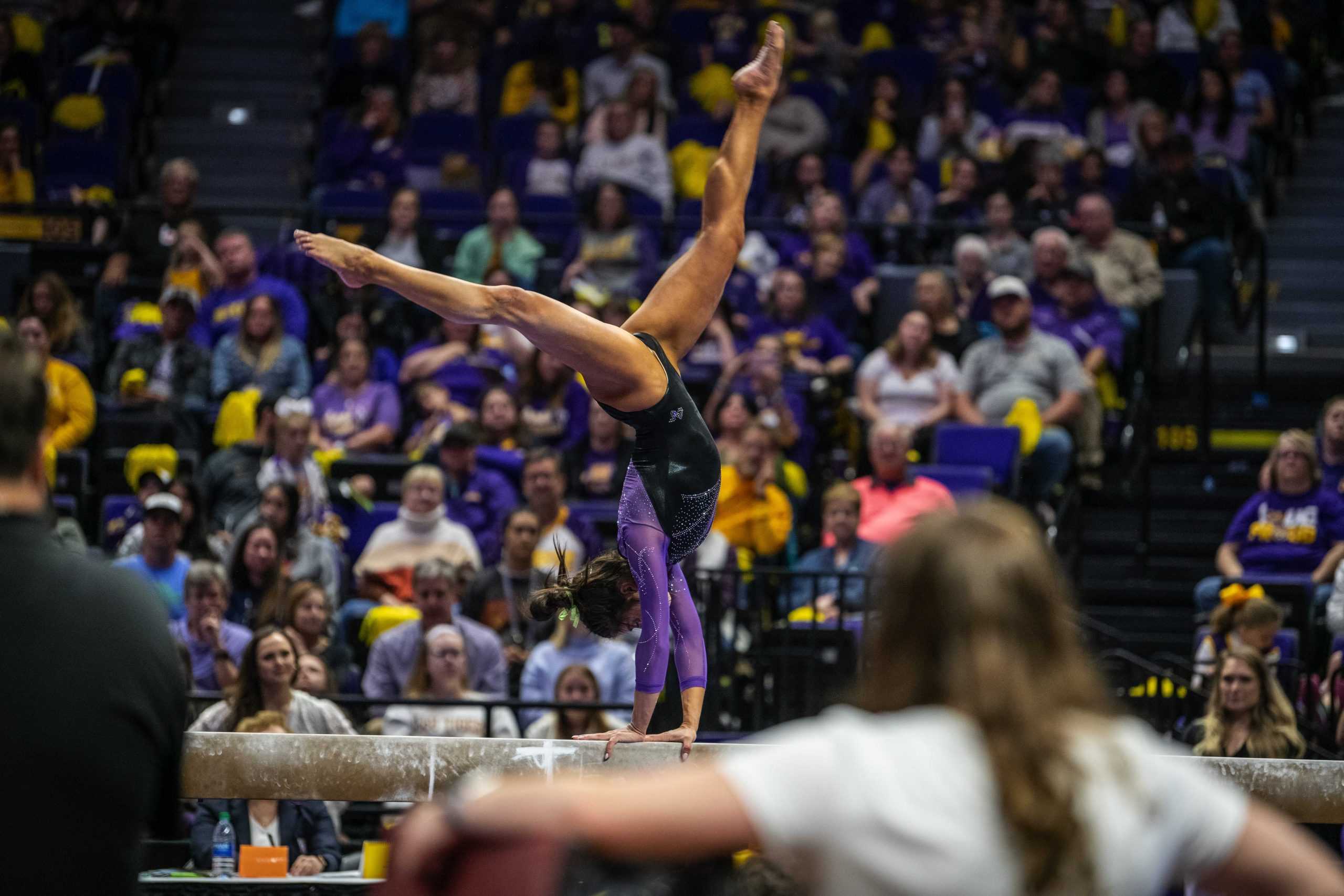 PHOTOS: No. 7 LSU gymnastics takes down No. 4 Utah on senior night