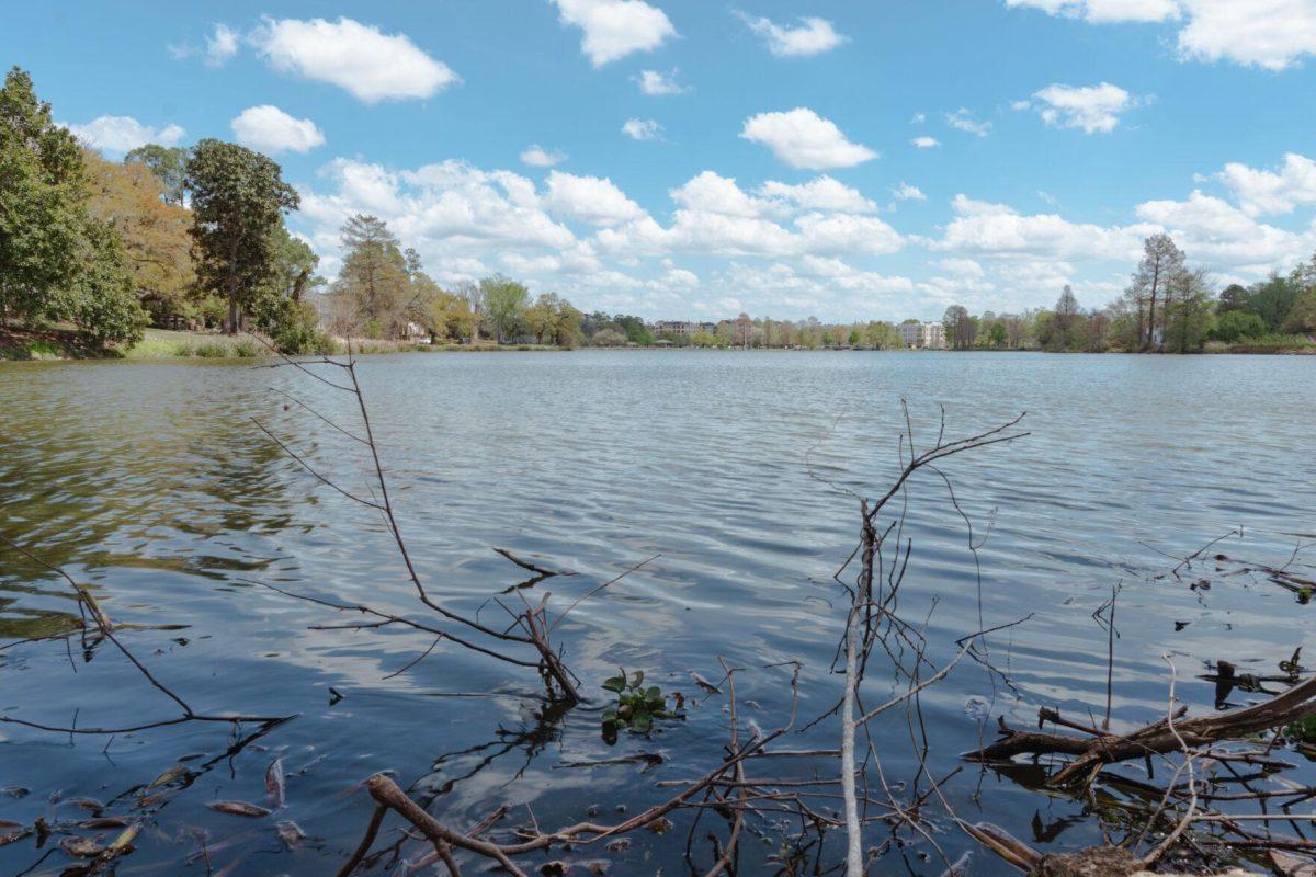 The surface of University Lake ripples in the wind on Tuesday, March 29, 2022, near West Lakeshore Drive in Baton Rouge, La.