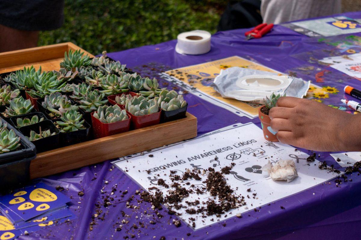 Succulents, decorations and information about disabilities were made available to students at the event.