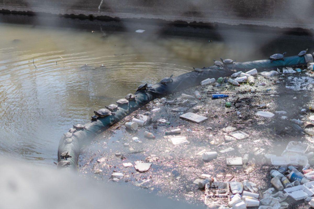 Turtles sit on a water barricade on Thursday, March 10, 2022, keeping trash from moving further down the canal near East Chimes Street in Baton Rouge, La.