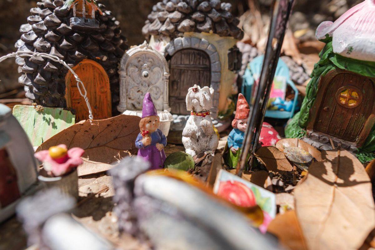 Dog begs for treats on Thursday, March 24, 2022, after being a good dog at the Fairy Garden on LSU&#8217;s campus in Baton Rouge, La.