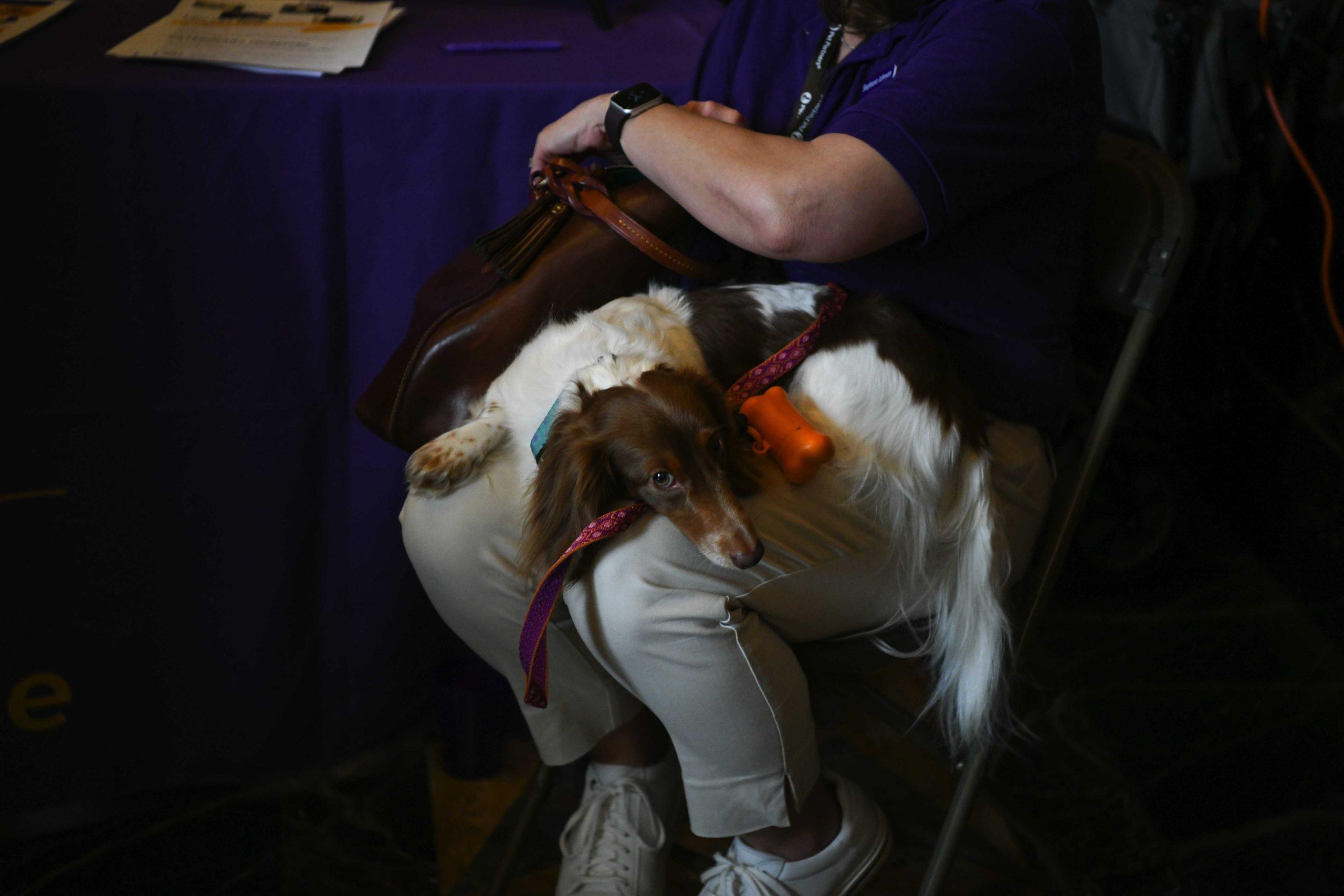 PHOTOS: LSU Day at the Capitol