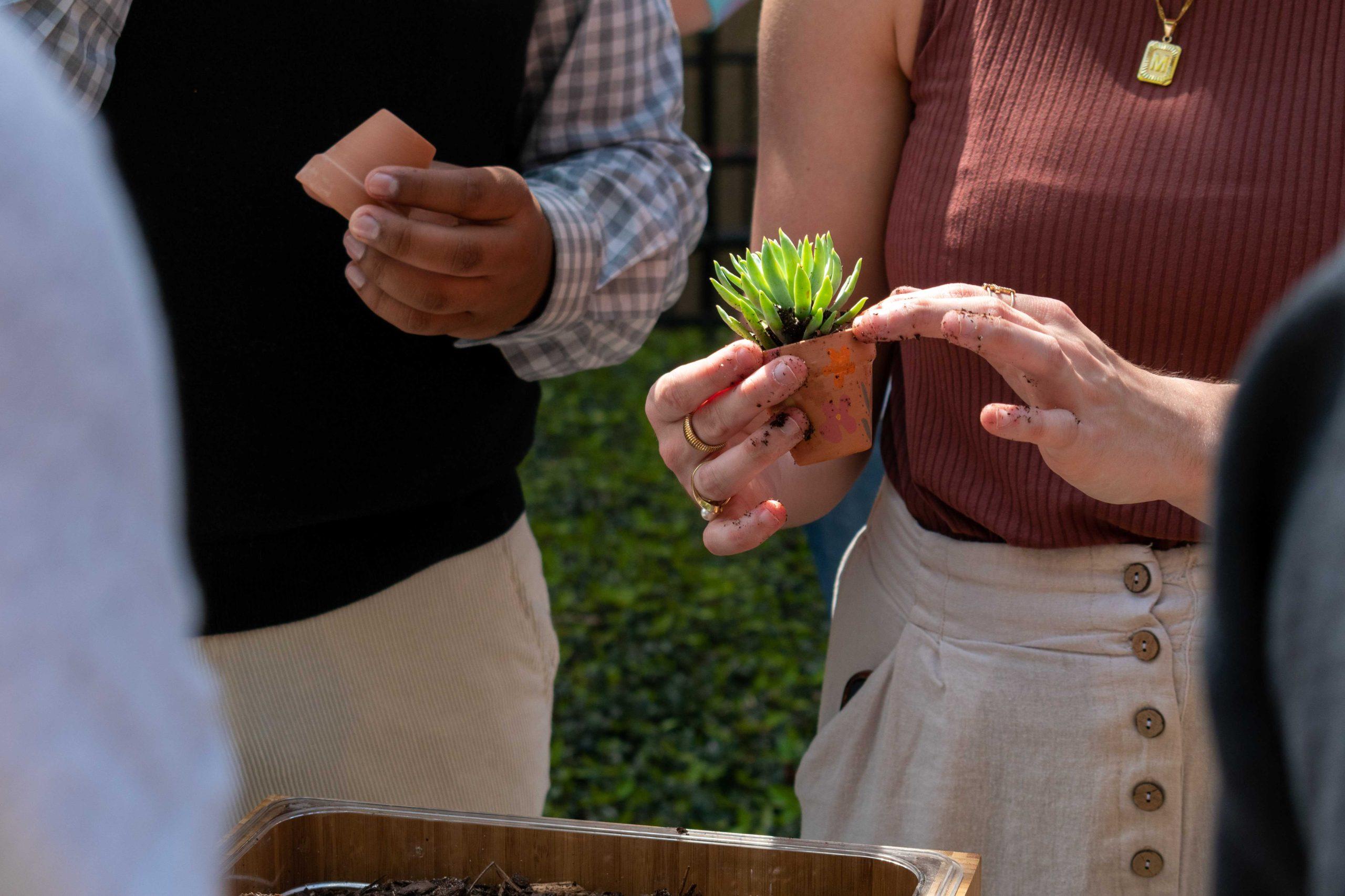 Growing Awareness: LSU students use succulents to raise awareness of disabilities