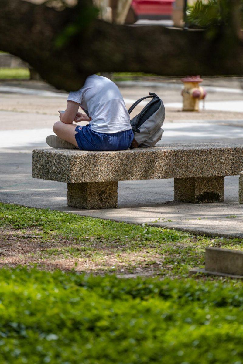 A tree branch grows to cover a student&#8217;s head from view on Thursday, April 21, 2022, in the LSU Quad in Baton Rouge, La.