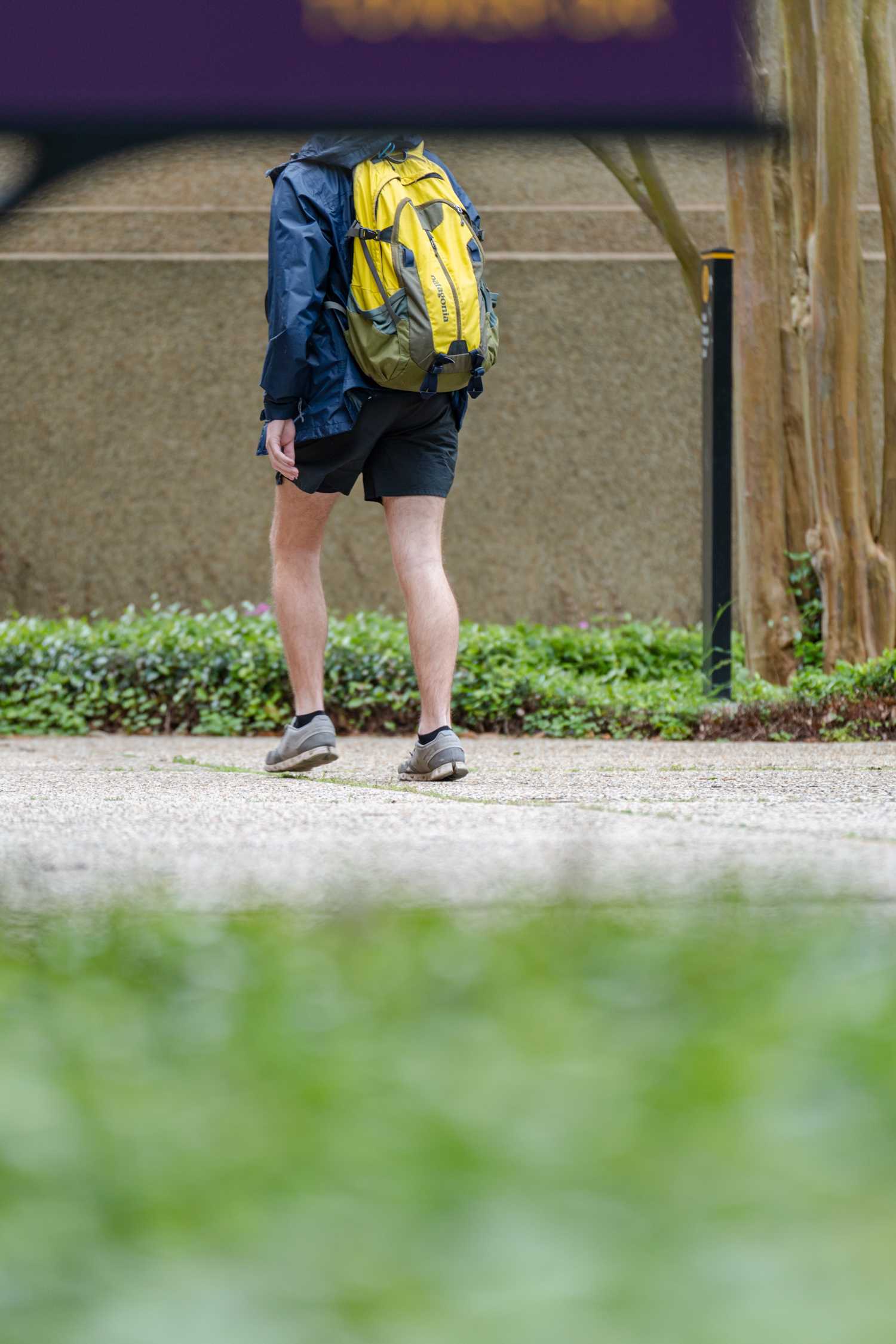 PHOTOS: Clear your Head with a Walk on Campus