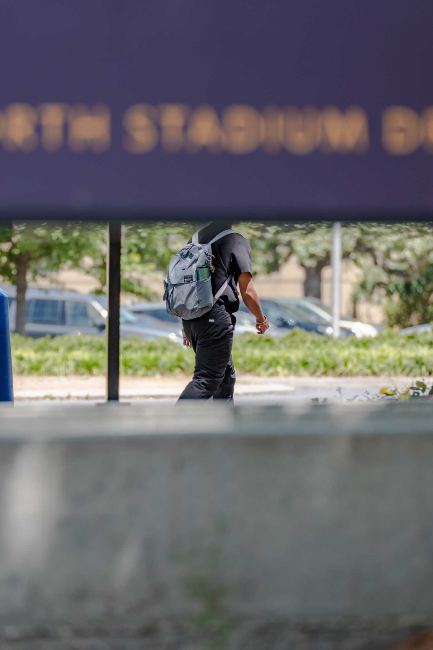 PHOTOS: Clear your Head with a Walk on Campus