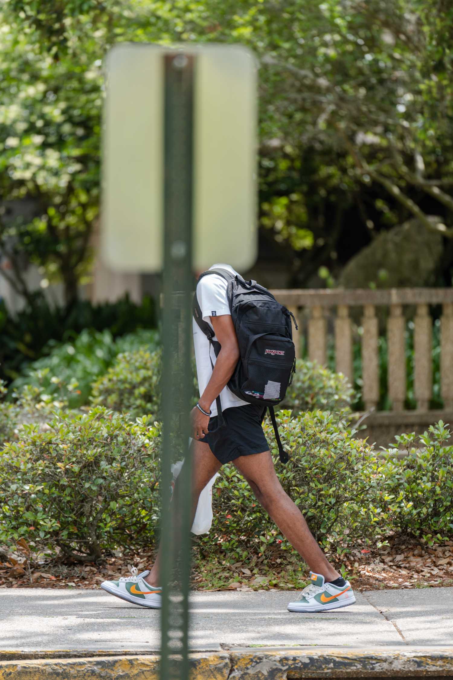 PHOTOS: Clear your Head with a Walk on Campus