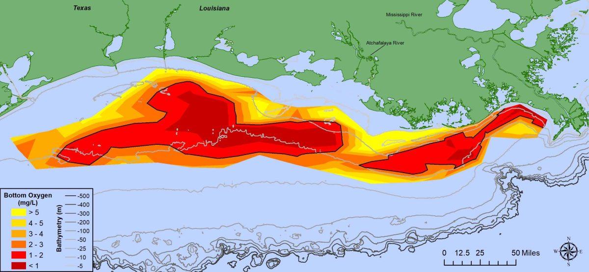 A map of the dead zone in late July 2019 made after the shelf-wide cruise measurements.&#160;The black line outlines the area of bottom-water hypoxia.&#160;Courtesy of&#160;Nancy Rabalais