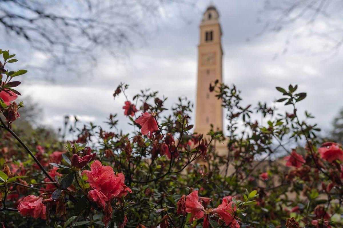 Flowers bloom in front Memorial Tower on Tuesday, March 22, 2022, on Tower Drive in Baton Rouge, La.