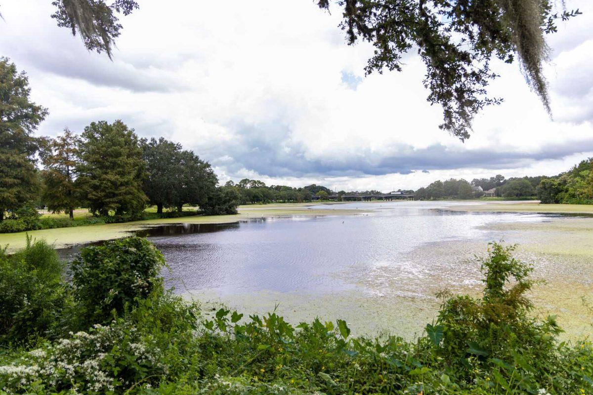 University Lake sits Saturday, Aug. 27, 2022, surrounded by landscape on East Lakeshore Drive.