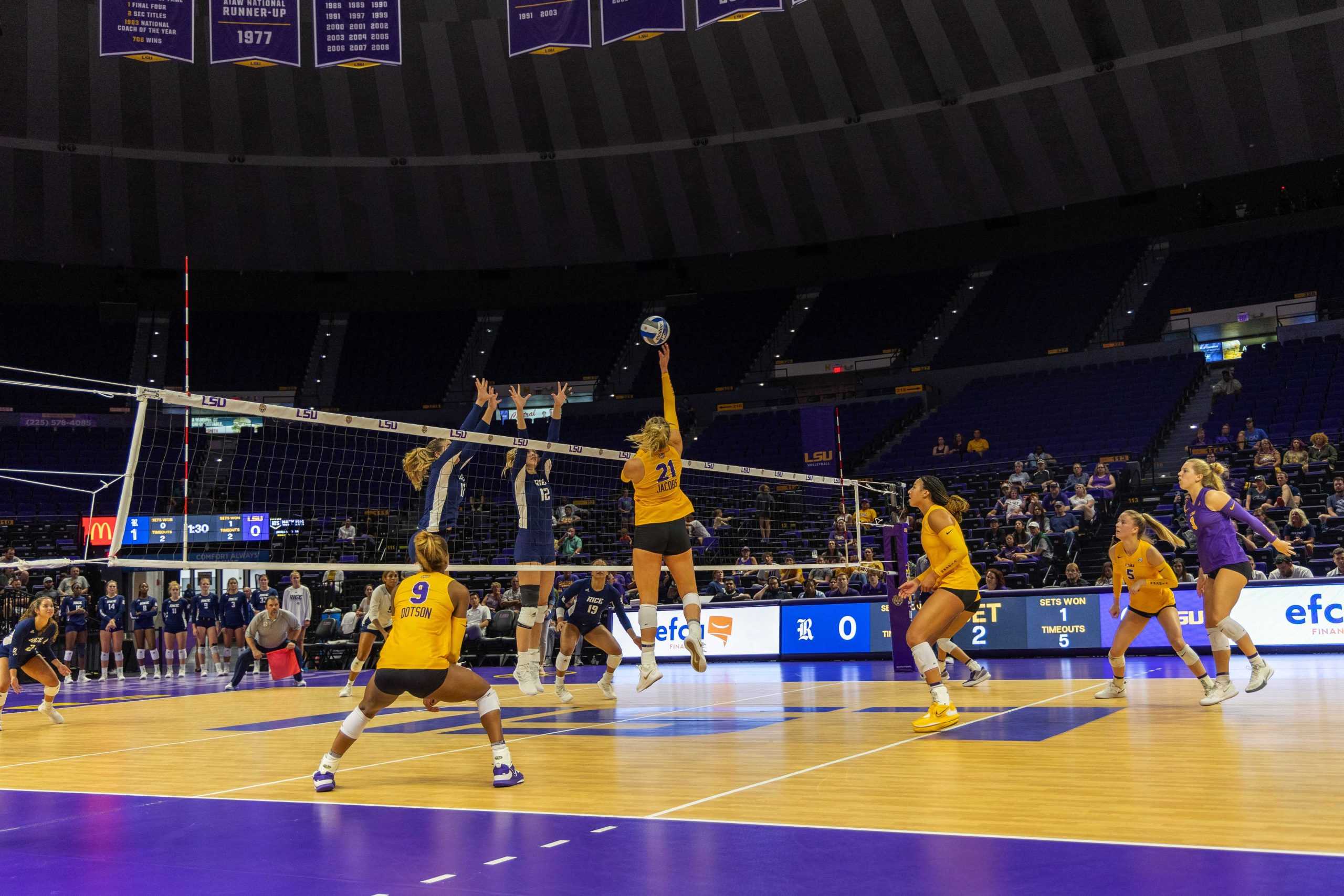 PHOTOS: The Nutty Endeavors of LSU Squirrels