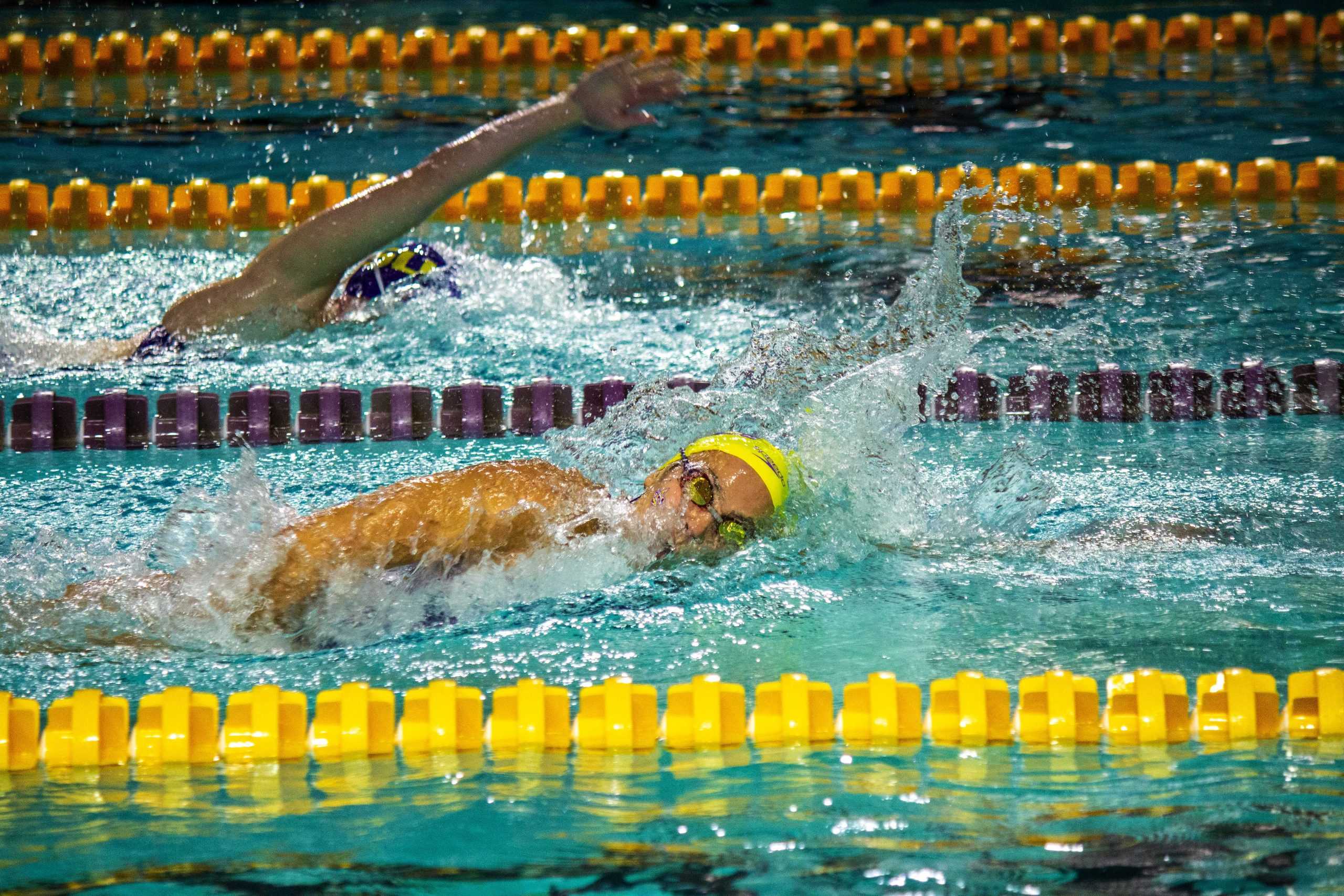 PHOTOS: LSU Swim Intrasquad Exhibition