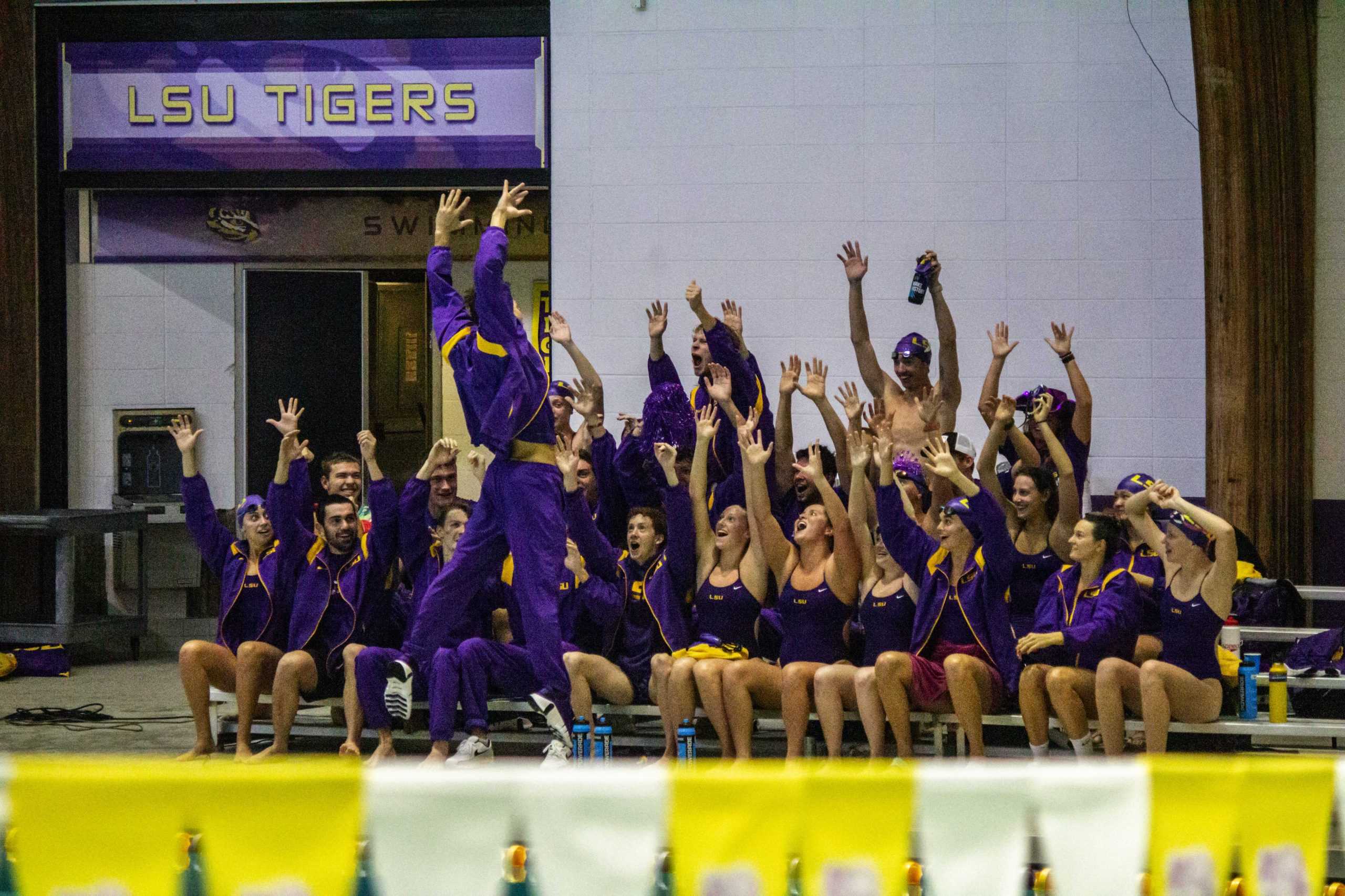 PHOTOS: LSU Swim Intrasquad Exhibition