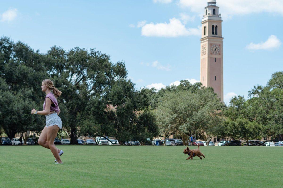 Cooper the dog chases after his owner LSU kinesiology senior Caitlin Mathes on Friday, Sept. 9, 2022, on the Parade Ground on Highland Road in Baton Rouge, La.