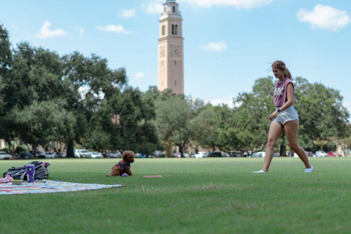 LSU kinesiology senior Caitlin Mathes tries to coax her dog Cooper into playing on Friday, Sept. 9, 2022, on the Parade Ground on Highland Road in Baton Rouge, La.