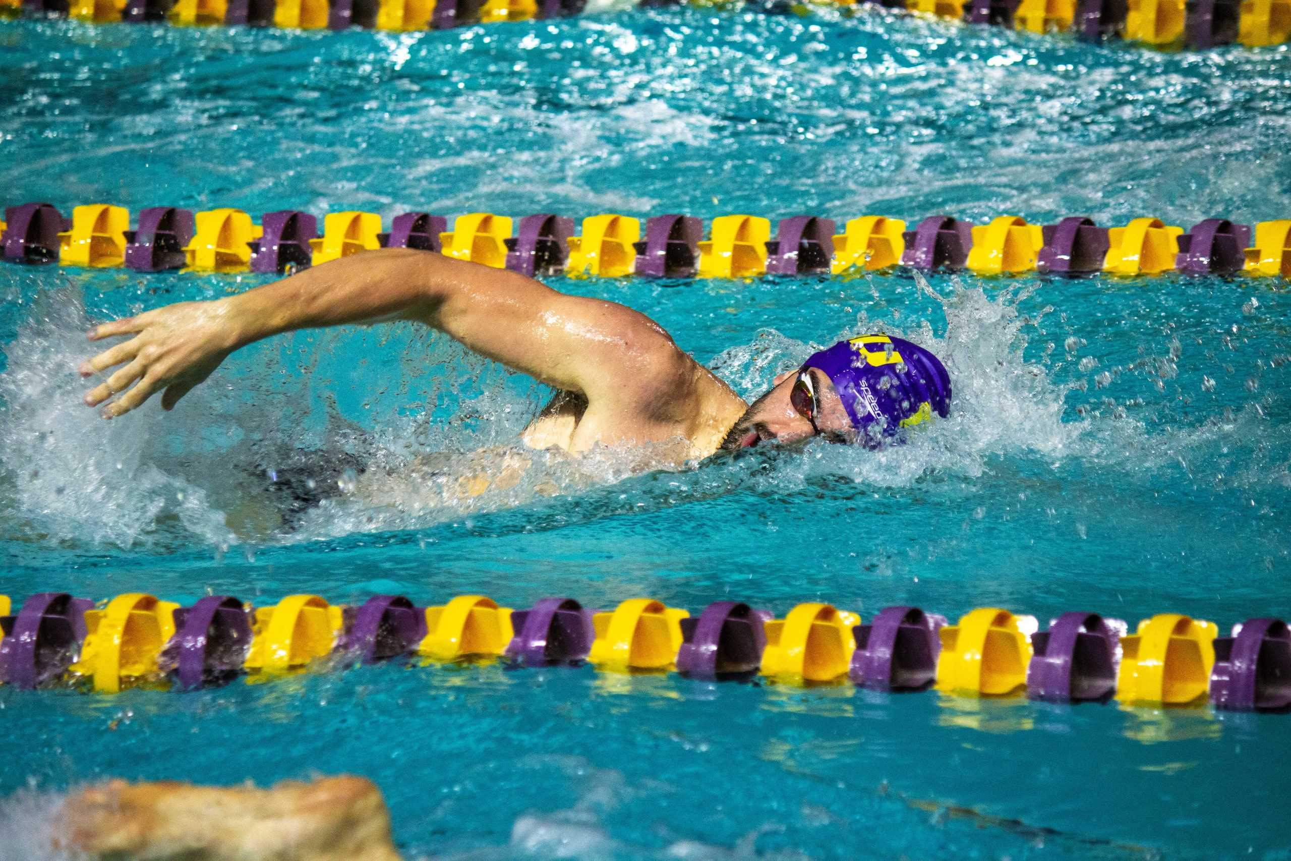 PHOTOS: LSU Swim Intrasquad Exhibition