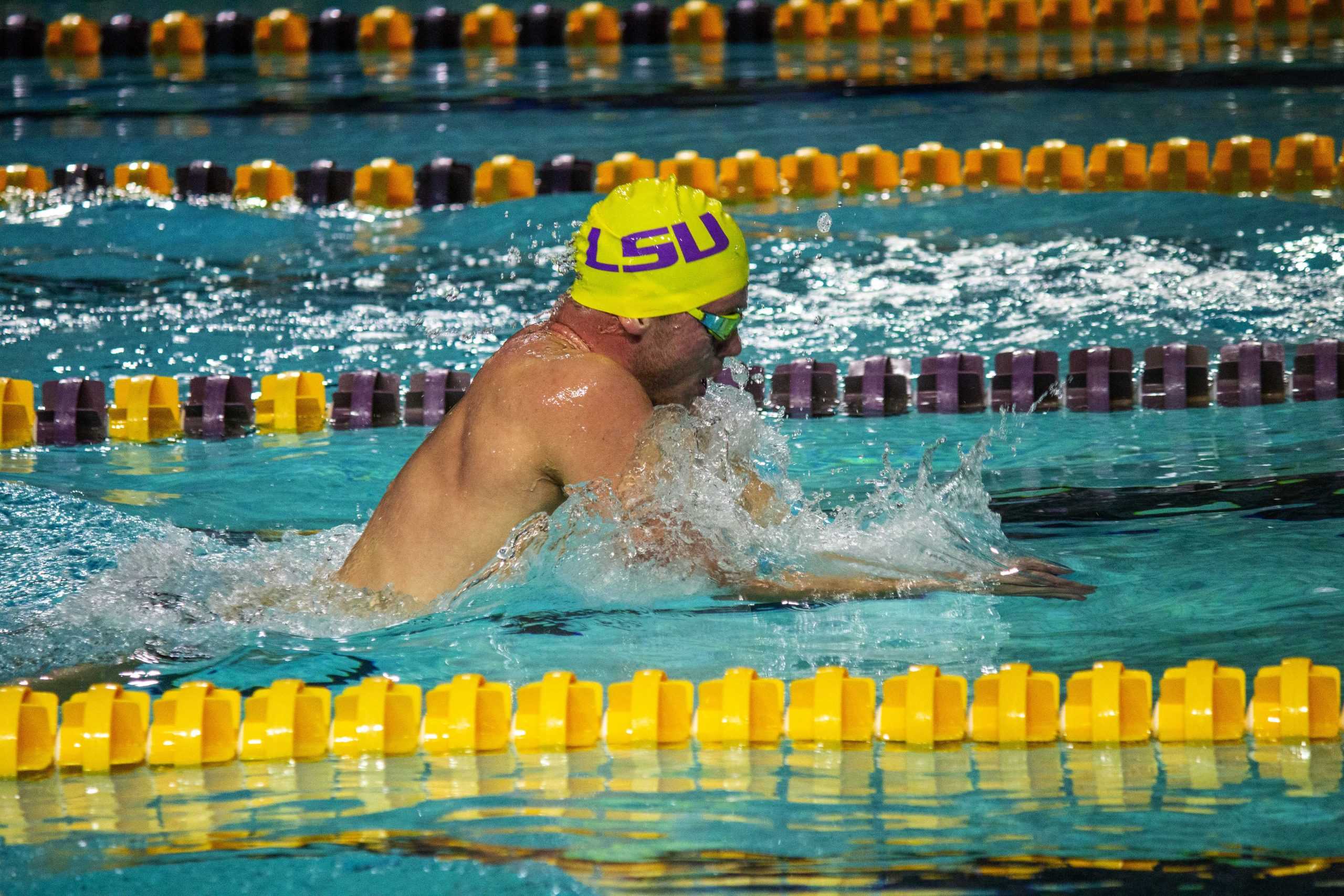 PHOTOS: LSU Swim Intrasquad Exhibition