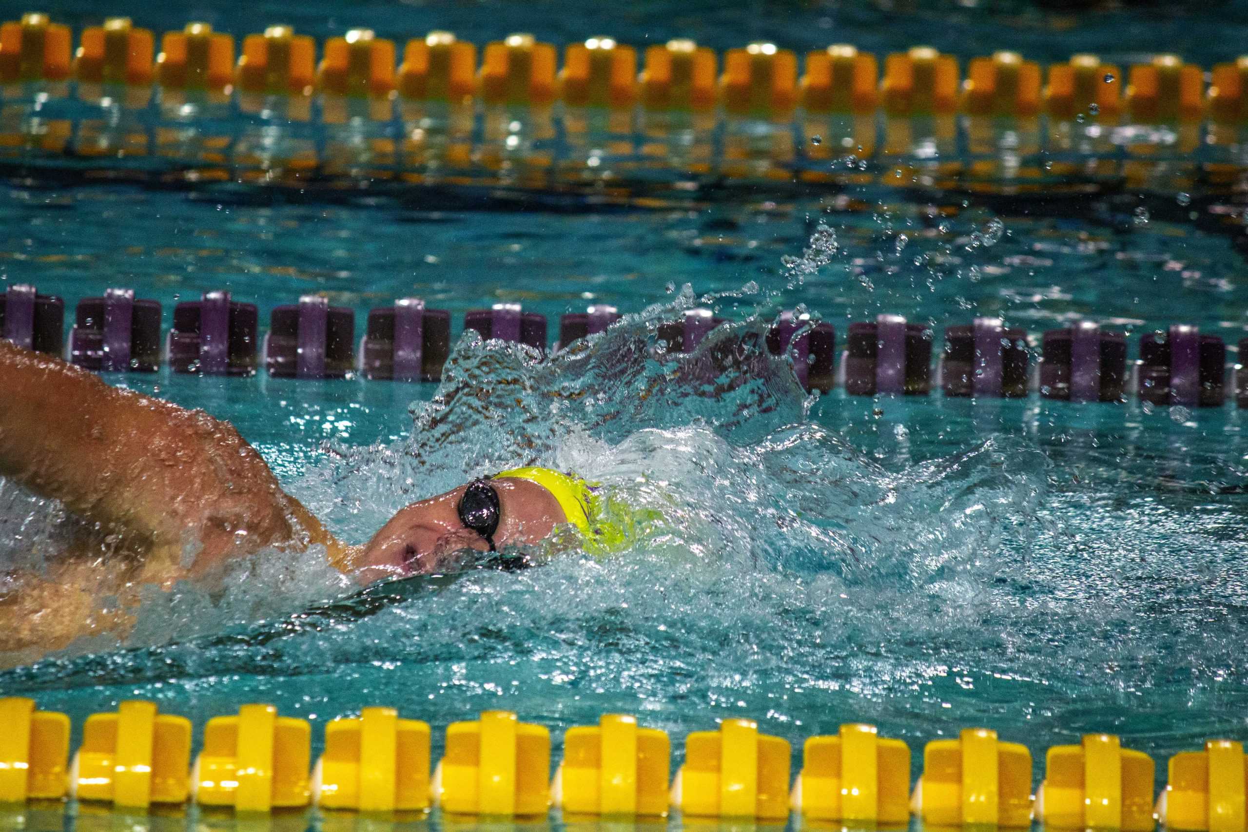 PHOTOS: LSU Swim Intrasquad Exhibition