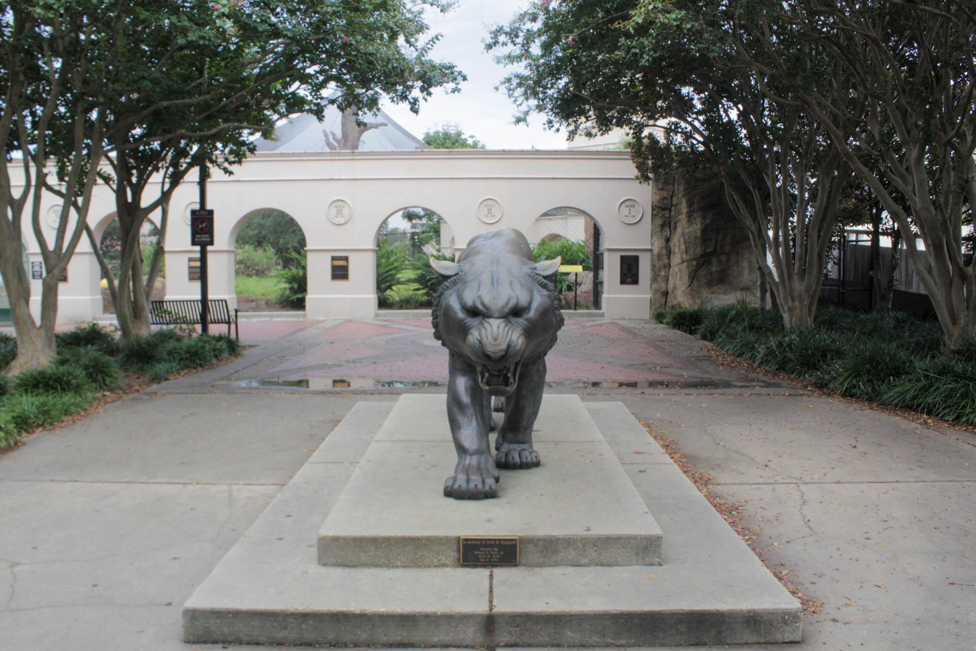 PHOTOS: What Campus Looks like on a School Day vs. Game Day