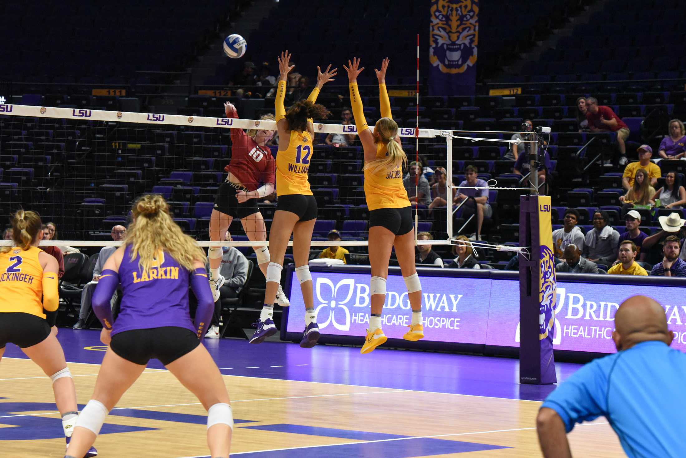 PHOTOS: LSU volleyball defeats Arkansas in SEC opener