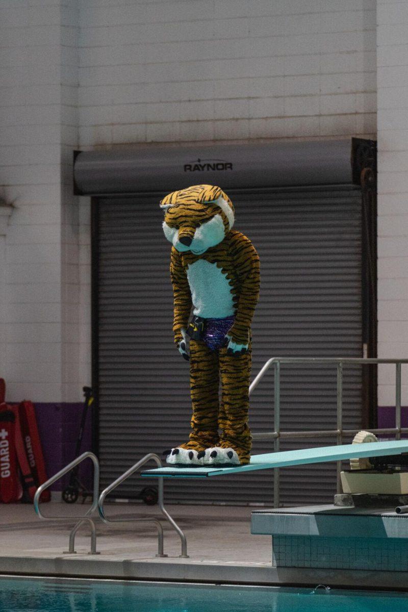 Mike the Tiger contemplates which dive to try on Friday, Sept. 23, 2022, during LSU&#8217;s victory over Tulane and Vanderbilt at the LSU Natatorium on Nicholson Drive in Baton Rouge, La.