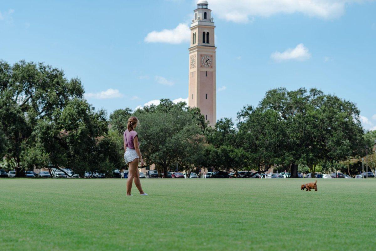 Cooper the dog sniffs around as LSU kinesiology senior Caitlin Mathes watches on Friday, Sept. 9, 2022, on the Parade Ground on Highland Road in Baton Rouge, La.