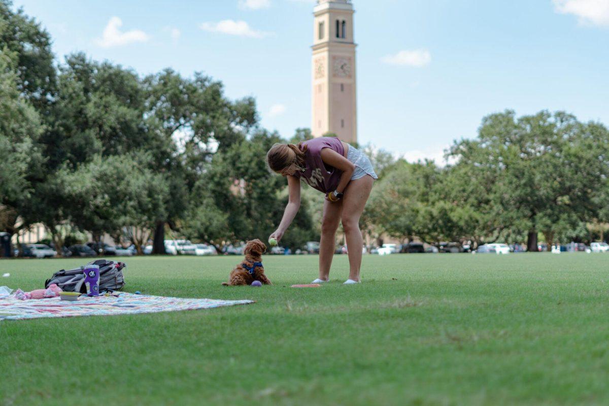 LSU kinesiology senior Caitlin Mathes waves a tennis ball in front of her dog Cooper&#8217;s face on Friday, Sept. 9, 2022, on the Parade Ground on Highland Road in Baton Rouge, La.