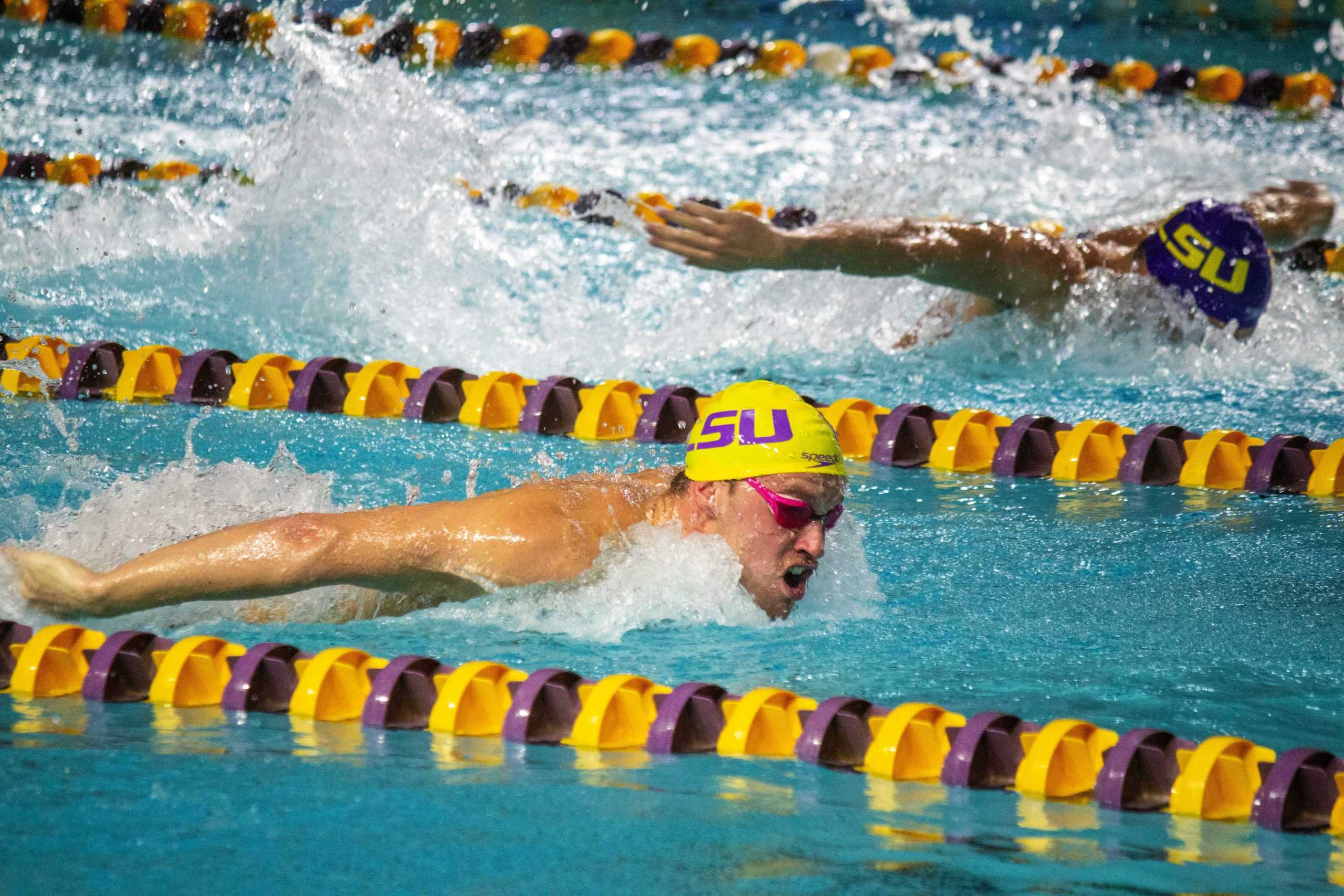 PHOTOS: LSU Swim Intrasquad Exhibition