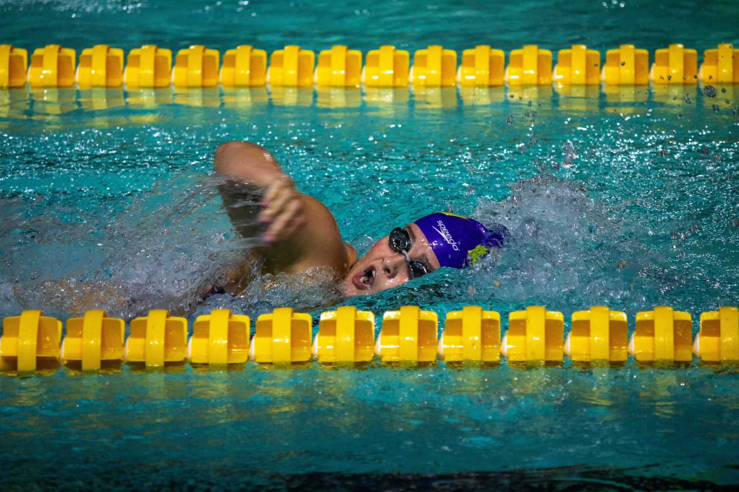 PHOTOS: LSU Swim Intrasquad Exhibition