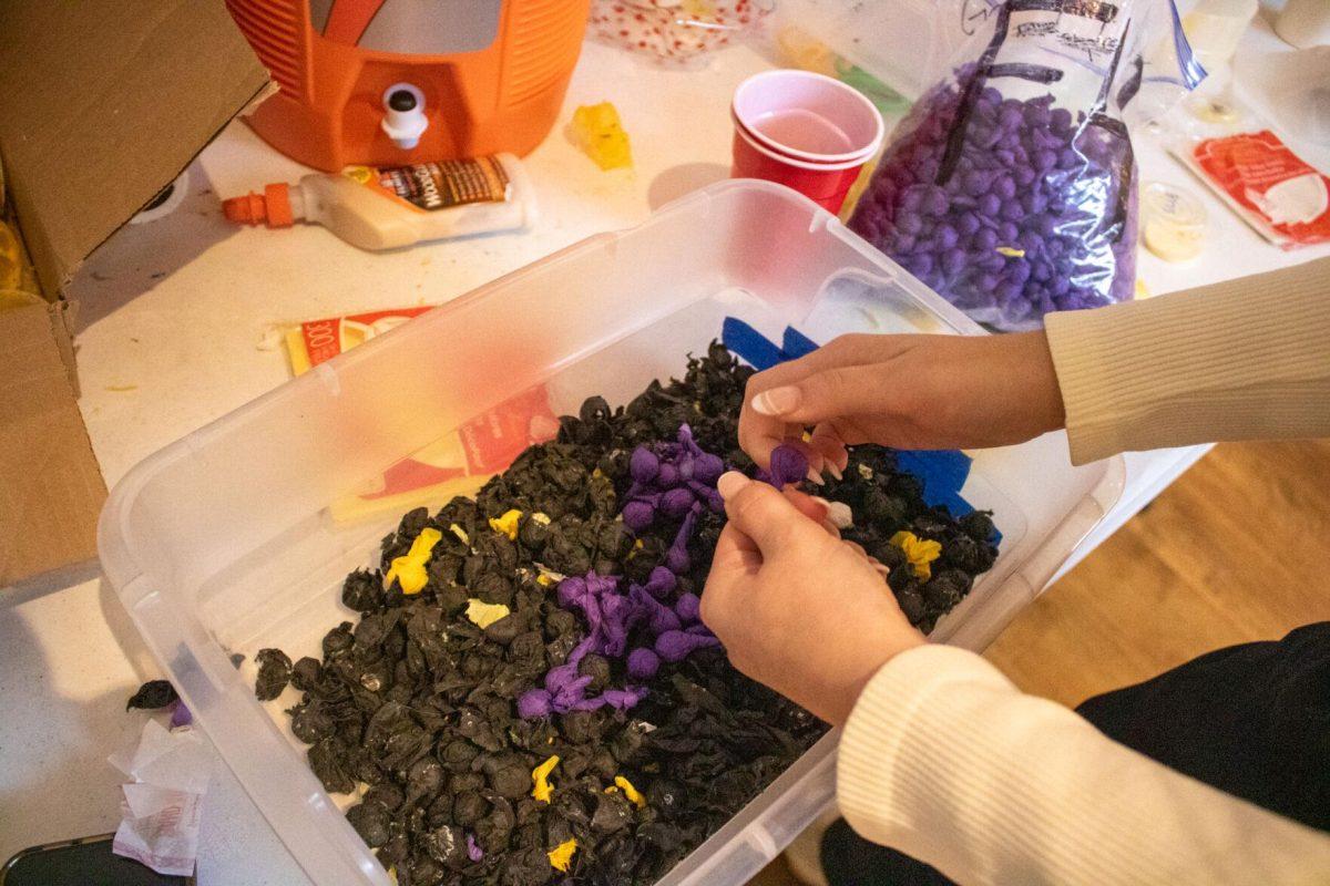 Sorority member places finished pomp into the bucket on Wednesday, Oct. 19, 2022, in the Zeta Sorority house on West Lakeshore Drive in Baton Rouge, La.