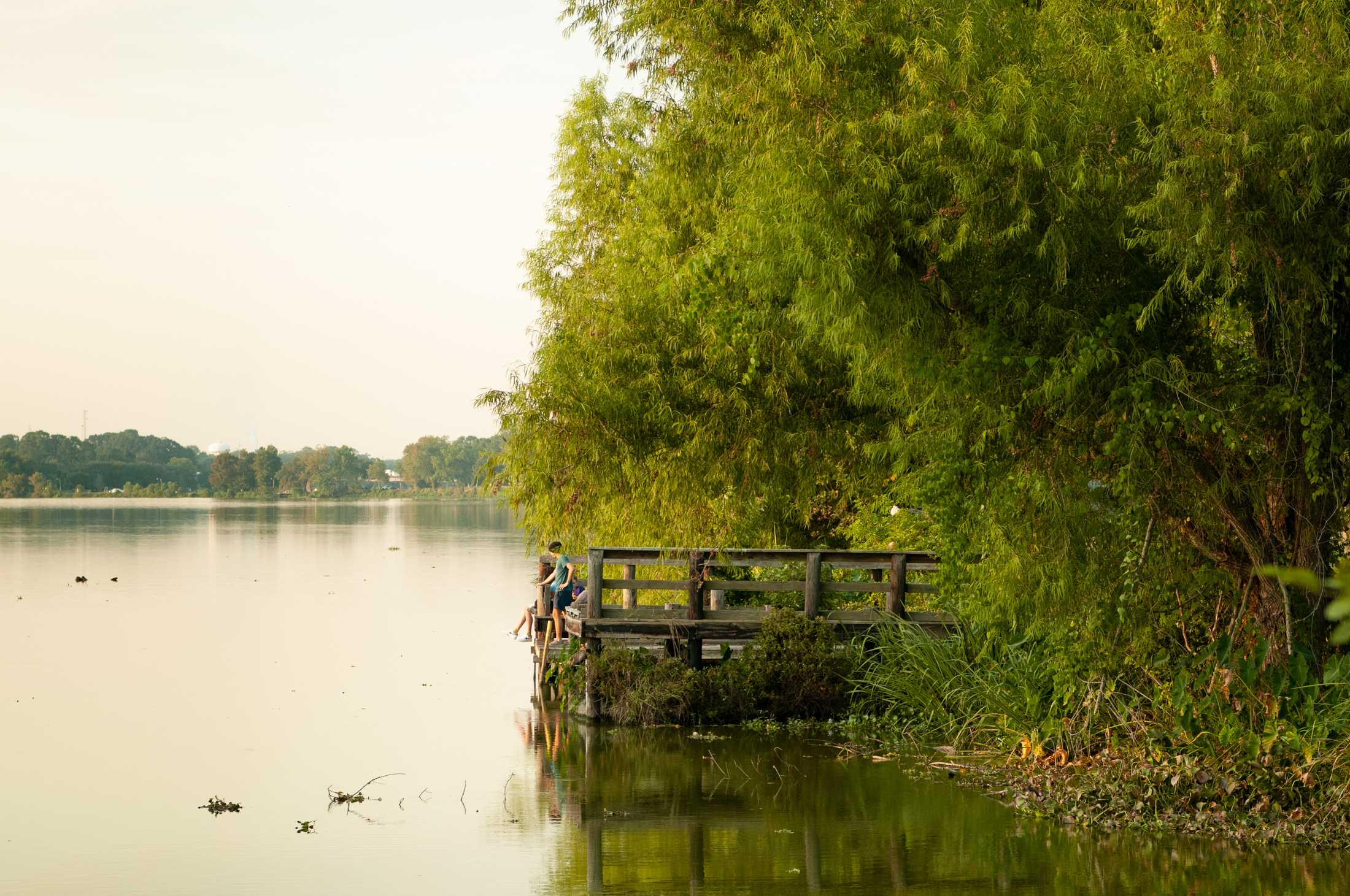 PHOTOS: Golden hour around Baton Rouge